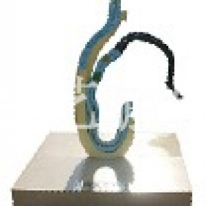 动物进化图(yp-7)