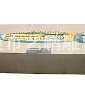 动物进化图(yp-8)