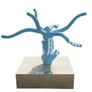 动物进化图(yp-9)